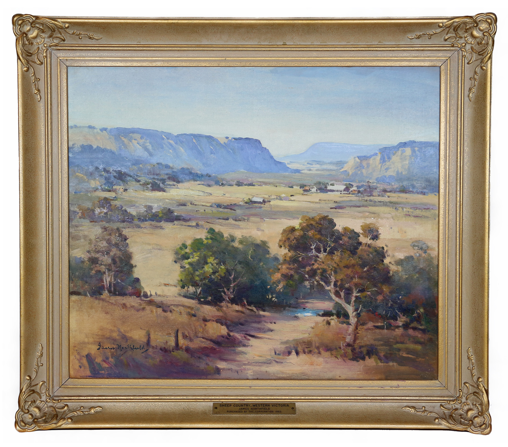 Sheep Country, Western Victoria - City Collection