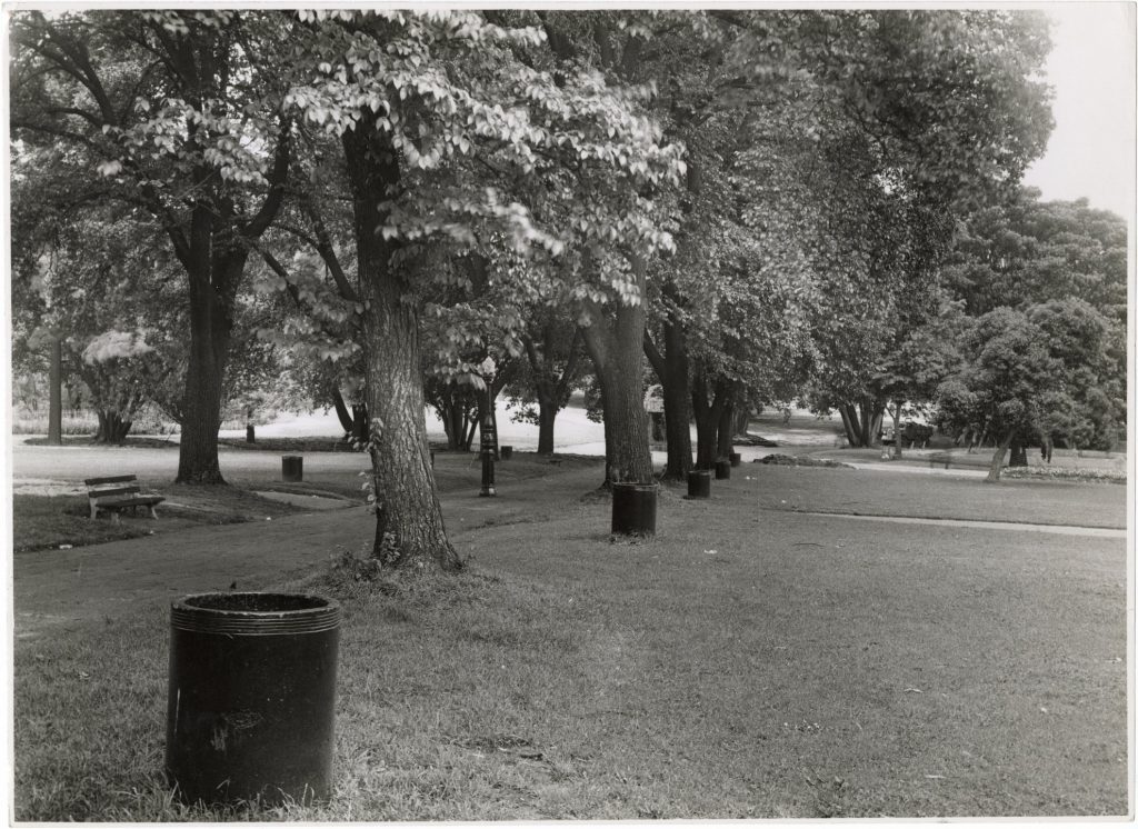 Image of Treasury Gardens