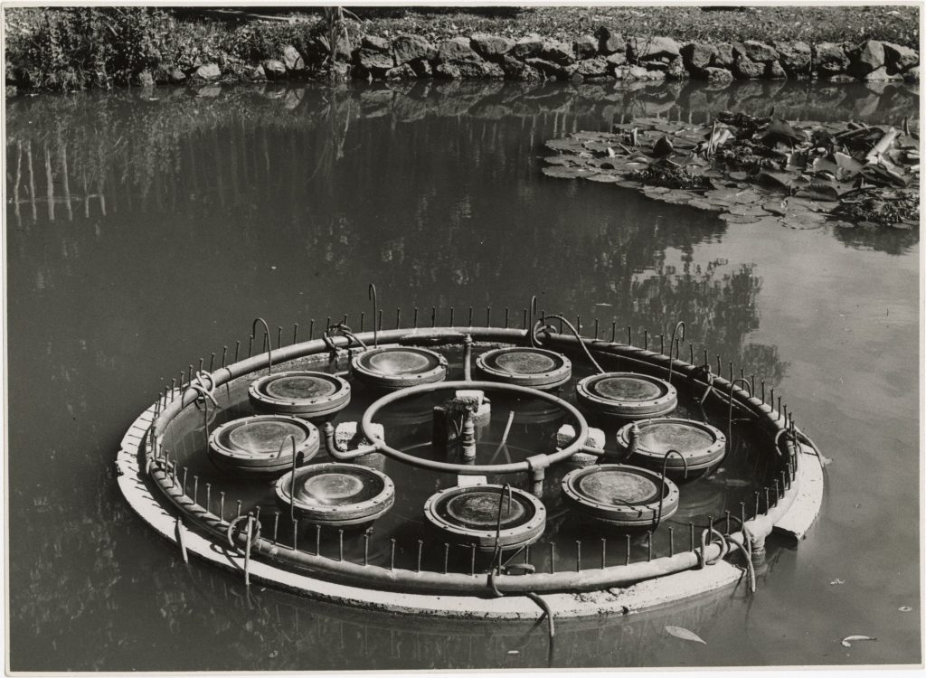 Image of a water feature