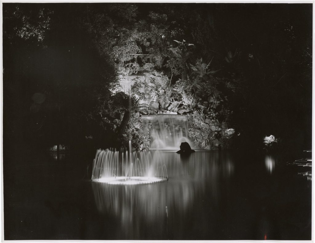 Image of a water feature, illuminated at night