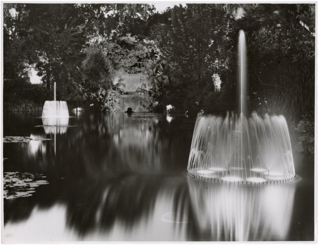 Image of a water feature, illuminated at night