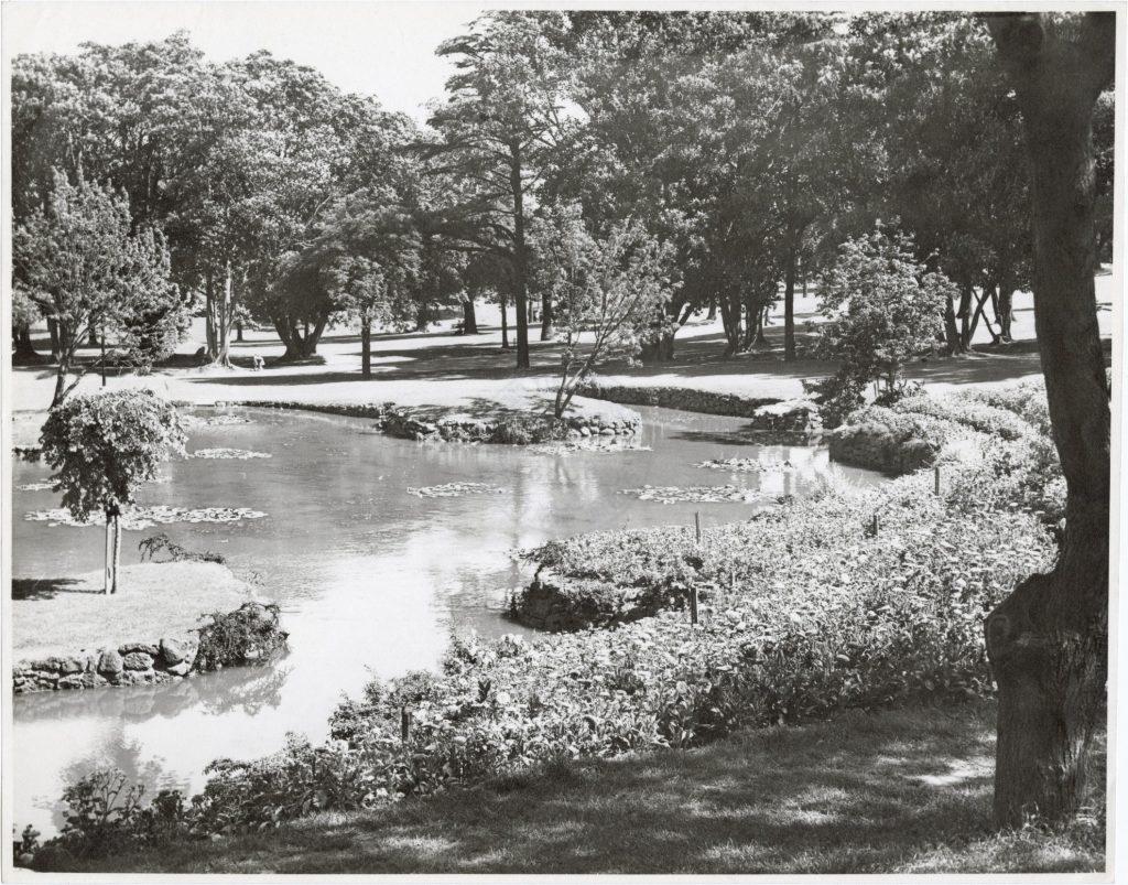 Image of a lake in Treasury Gardens