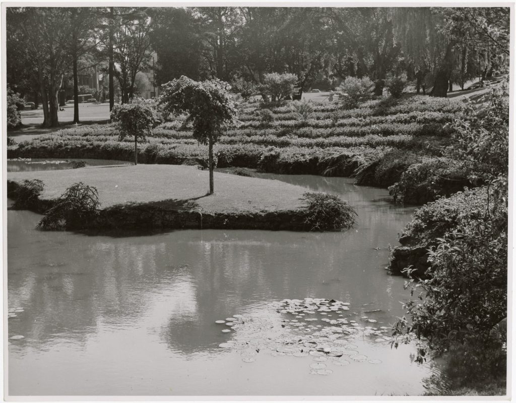 Image of a lake in Treasury Gardens