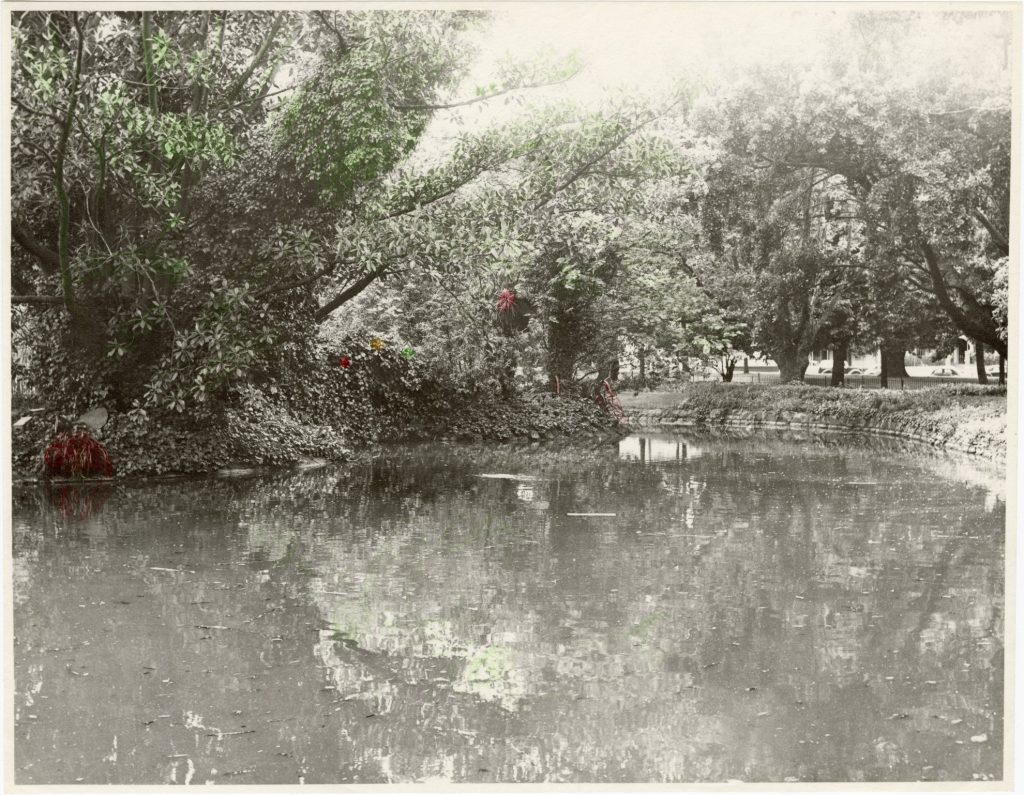 Image of Exhibition Lake