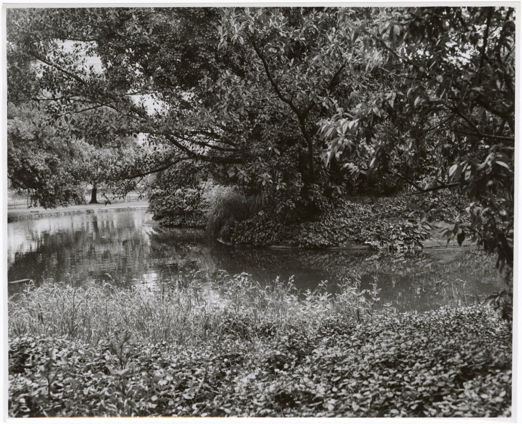 Image of Exhibition Lake