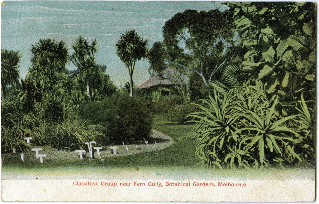 Classified Group near Fern Gully, Botanical Gardens, Melbourne