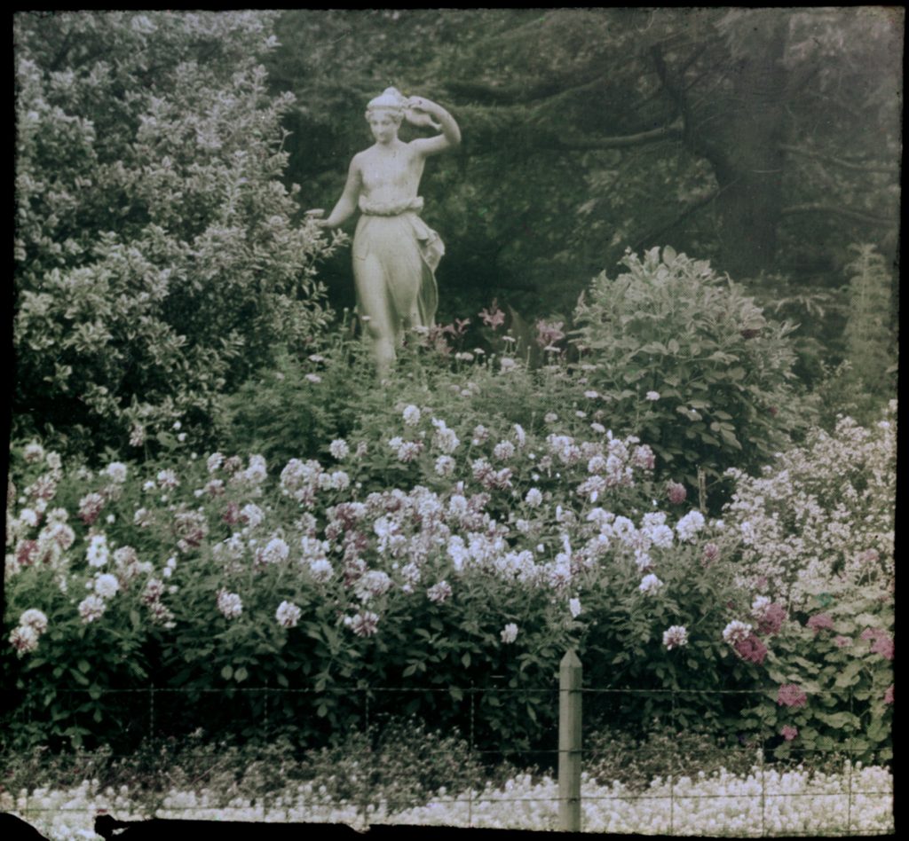 Glass lantern slide, Hotham Walk,
Fitzroy Gardens