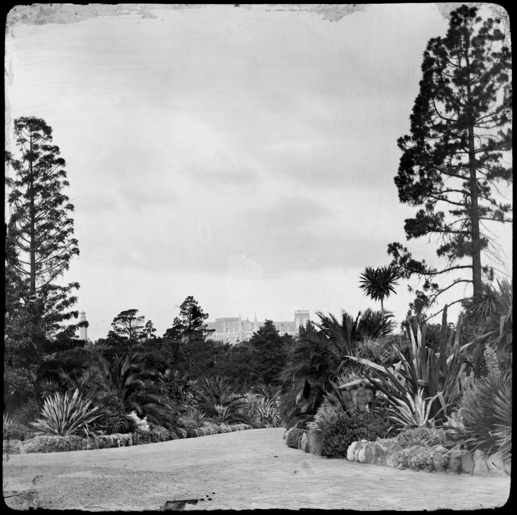 Glass lantern slide, Grey Street Walk at the Clarendon
Street end of Fitzroy Gardens