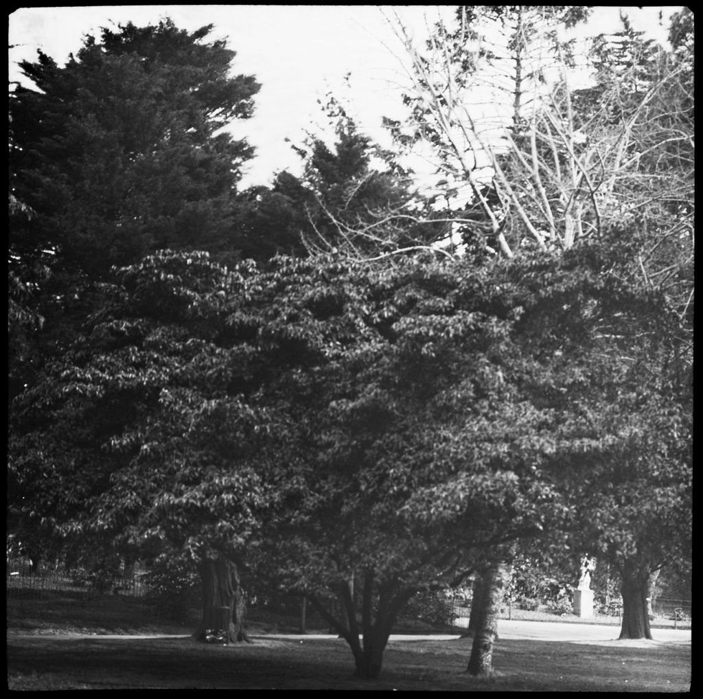 Glass lantern slide, Unknown location