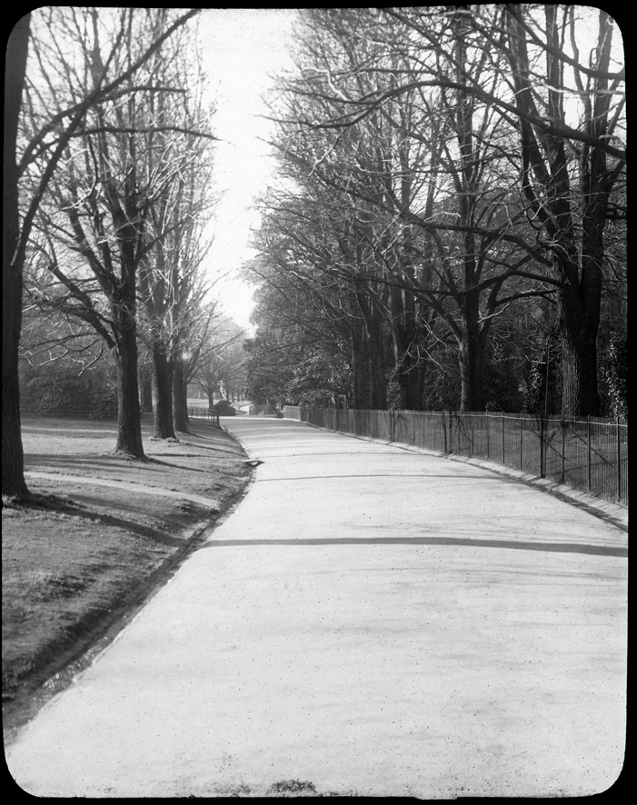 Glass lantern slide, Fitzroy Gardens