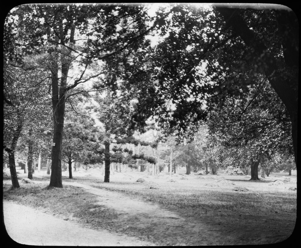 Glass lantern slide, Lawn after mowing.
Unknown location