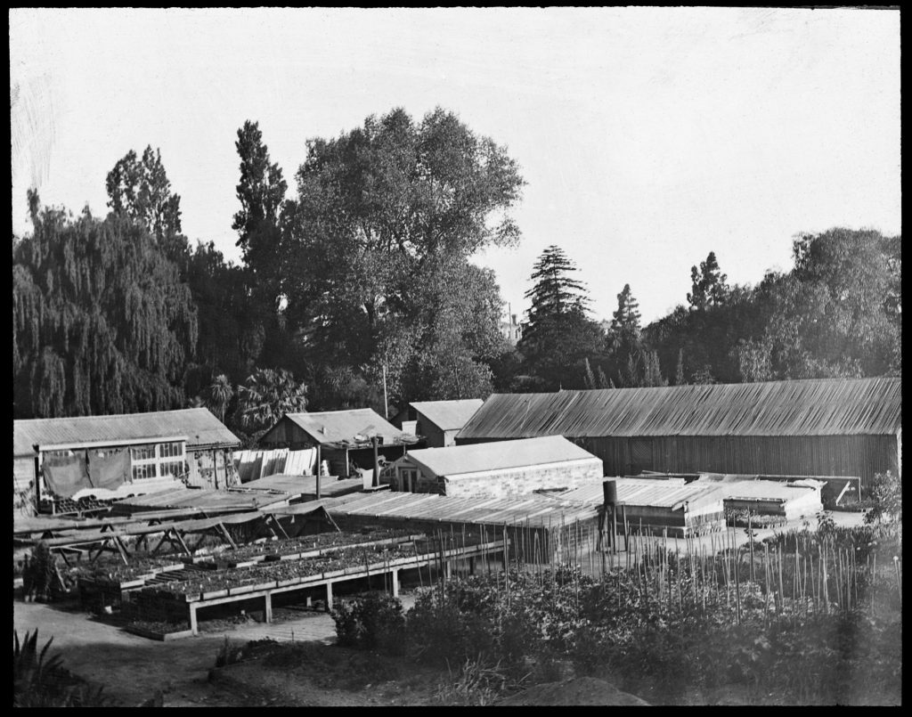 Glass lantern slide, Nursery buildings. Unknown location