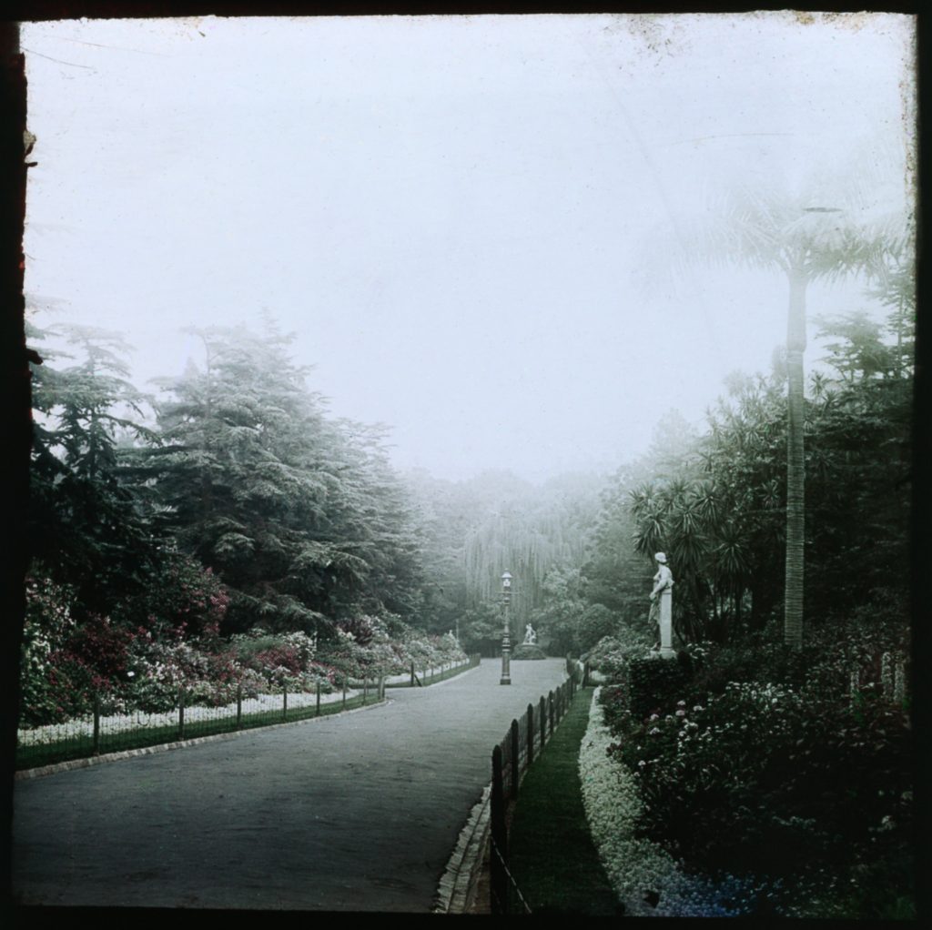 Glass lantern slide, Hotham Walk, Fitzroy Gardens