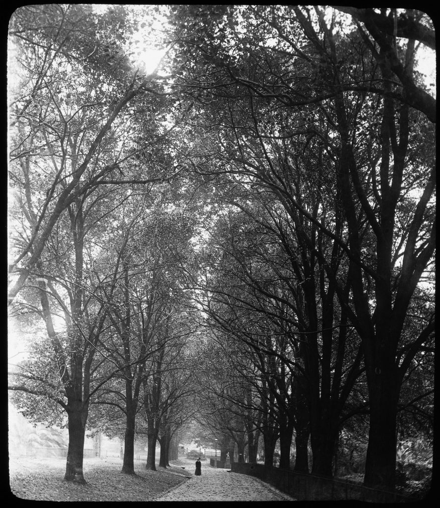 Glass lantern slide, Fitzroy Gardens,
looking towards Wellington Street