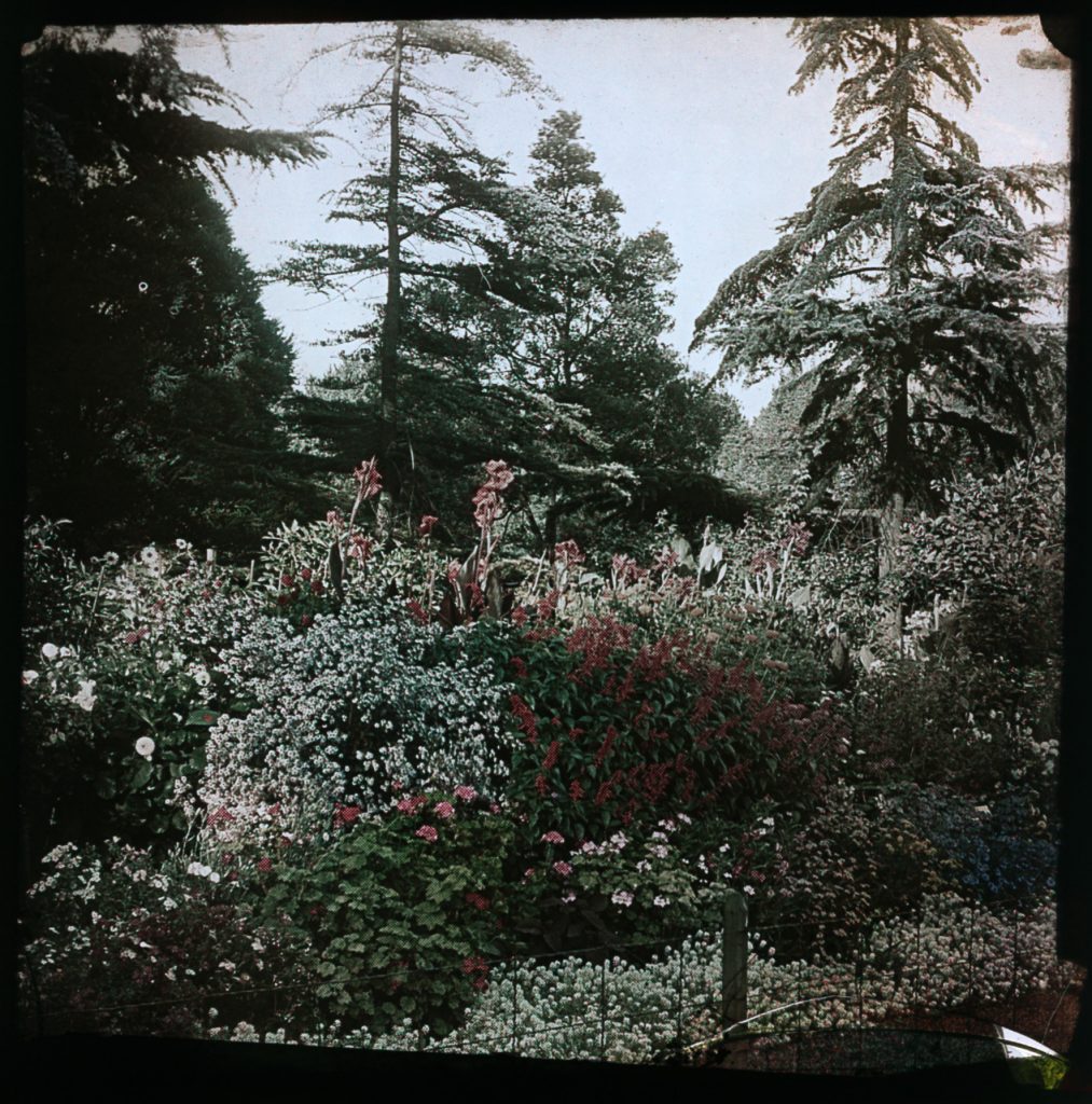 Glass lantern slide, Hotham Walk, Fitzroy Gardens