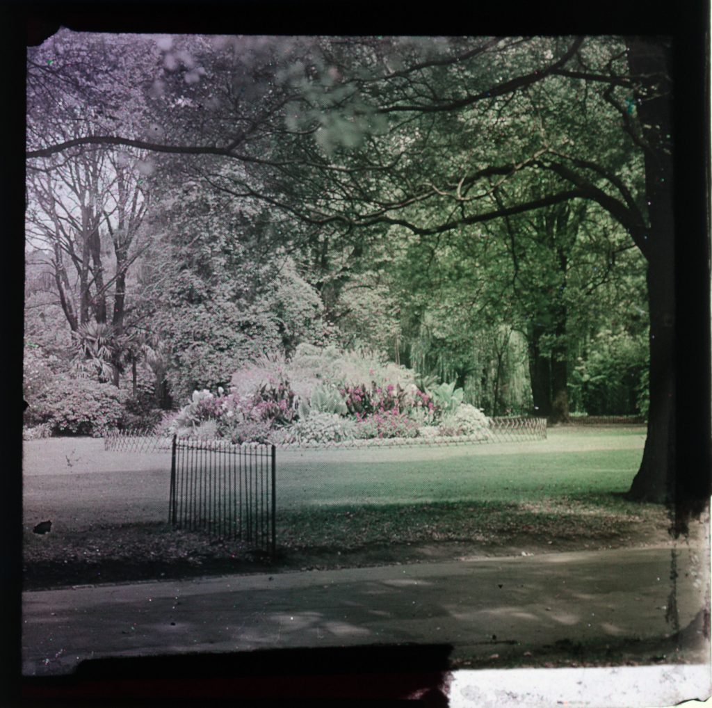 Glass lantern slide, Fitzroy Gardens