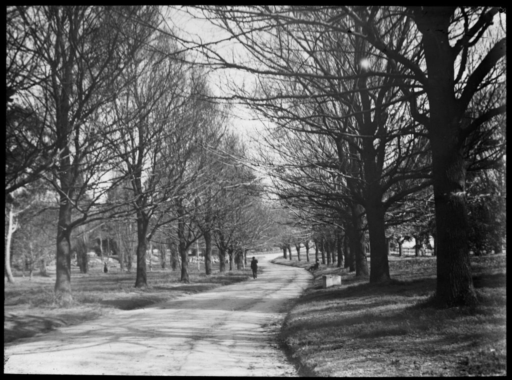 Glass lantern slide, Fitzroy Gardens