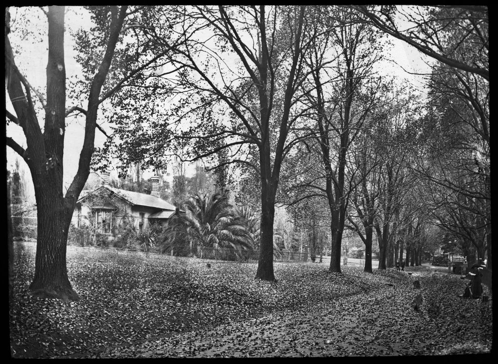 Glass lantern slide, Sinclair’s Cottage (The Lodge),
Fitzroy Gardens