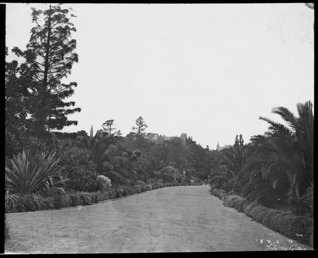 Glass lantern slide, Grey St Walk, Fitzroy Gardens