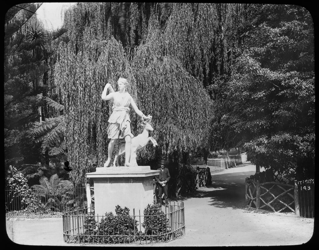 Glass lantern slide, Diana with her hounds,
Fitzroy Gardens