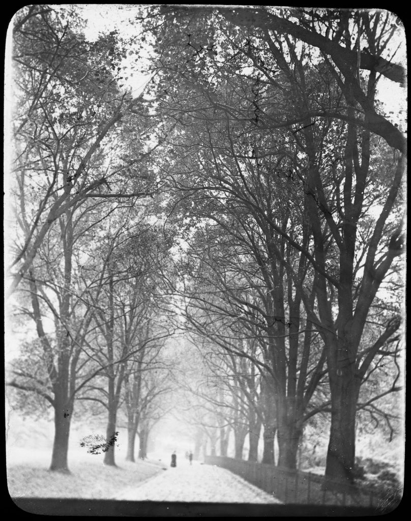 Glass lantern slide, Fitzroy Gardens near
Wellington Parade