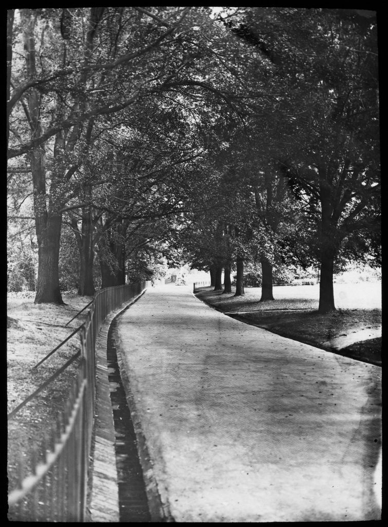 Glass lantern slide, Fitzroy Gardens looking
north to Hotham Walk bridge