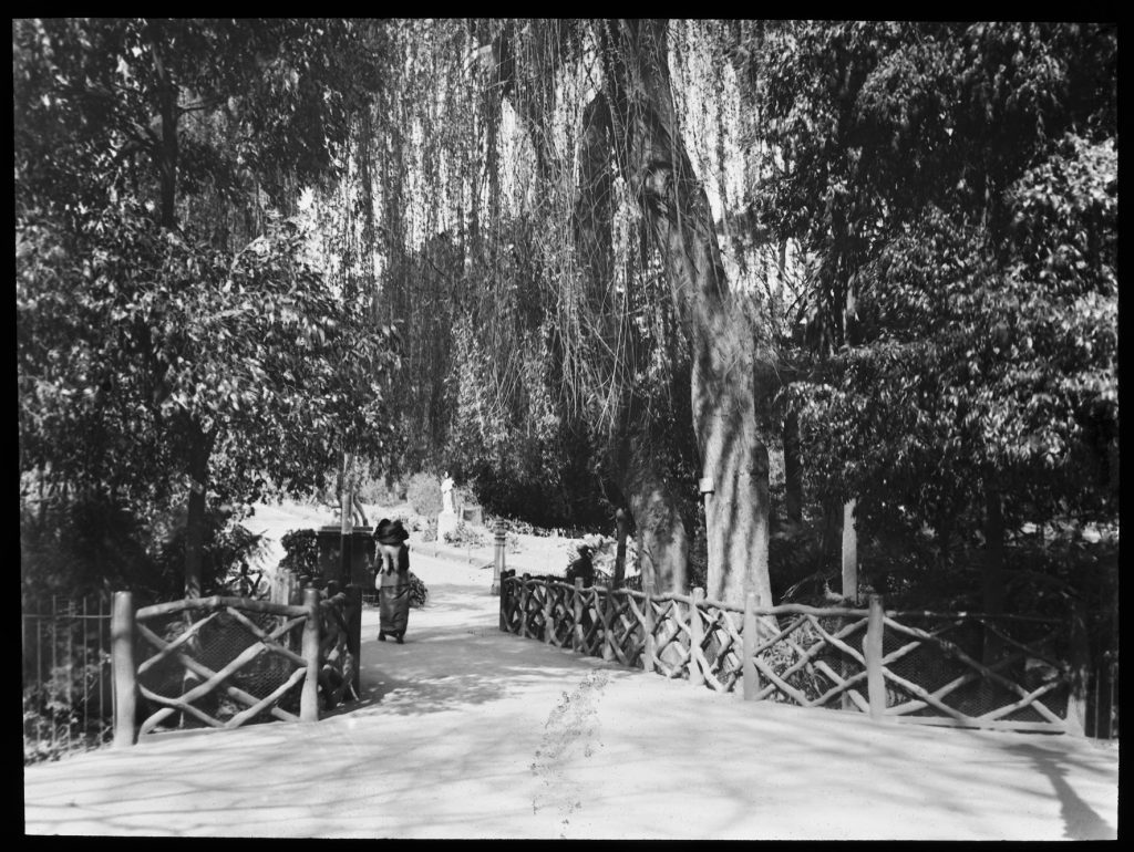 Glass lantern slide, Hotham Walk bridge,
Fitzroy Gardens