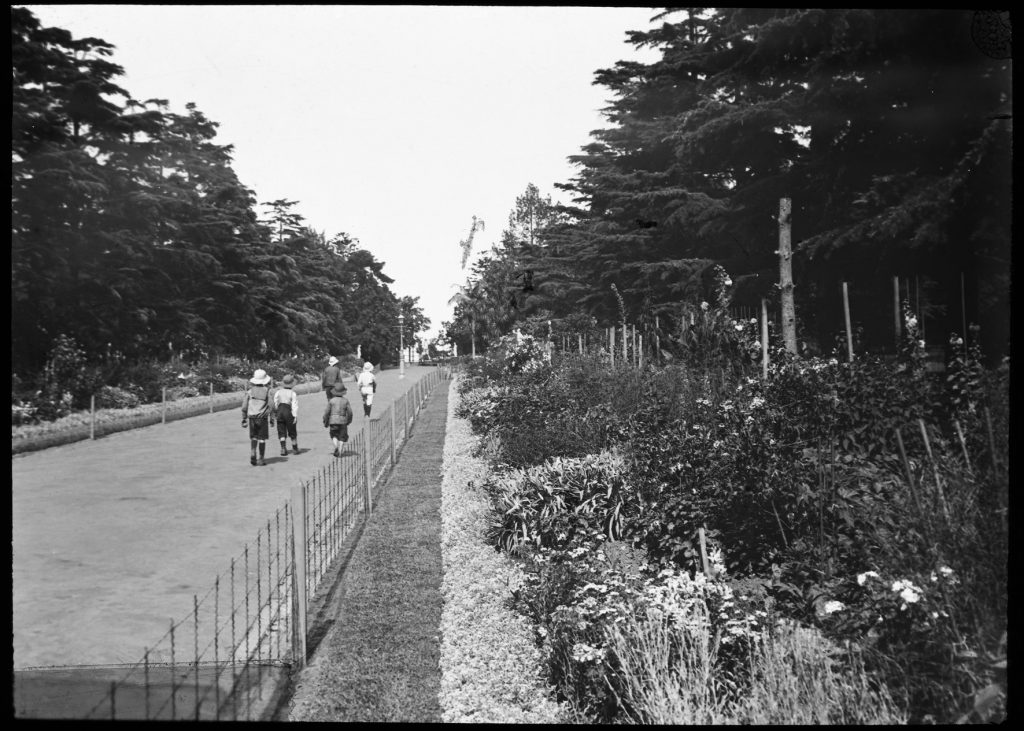 Glass lantern slide, Hotham Walk, Fitzroy Gardens