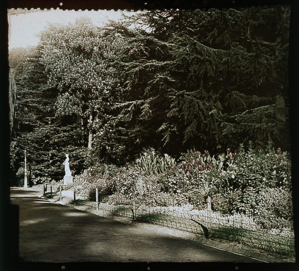 Glass lantern slide, Hotham Walk, Fitzroy Gardens