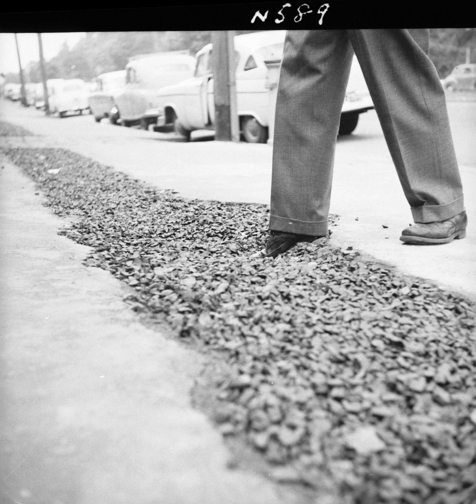 N589 Image showing footpath opening for the Postmaster-General trench near 348 Albert Street, East Melbourne