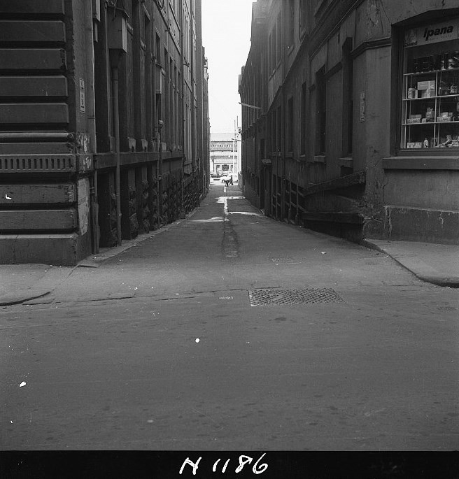 N1186 Image showing Tavistock Place after surfacing