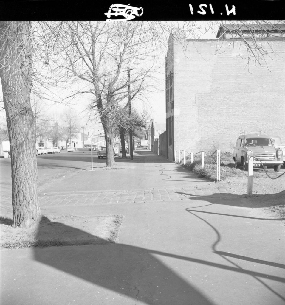 N121 Image showing asphalted trees along Dudley Street, North Melbourne