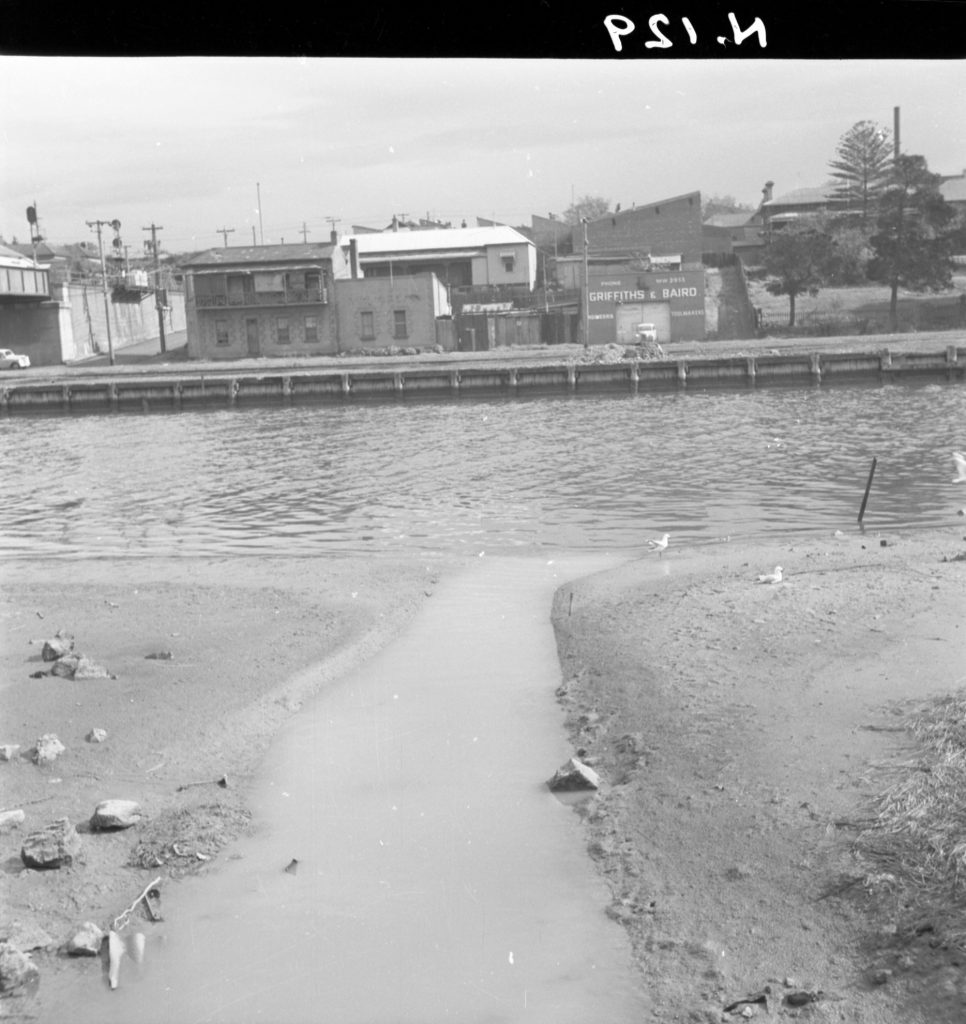 N129 Image showing an outlet tidal channel of the Maribyrnong River