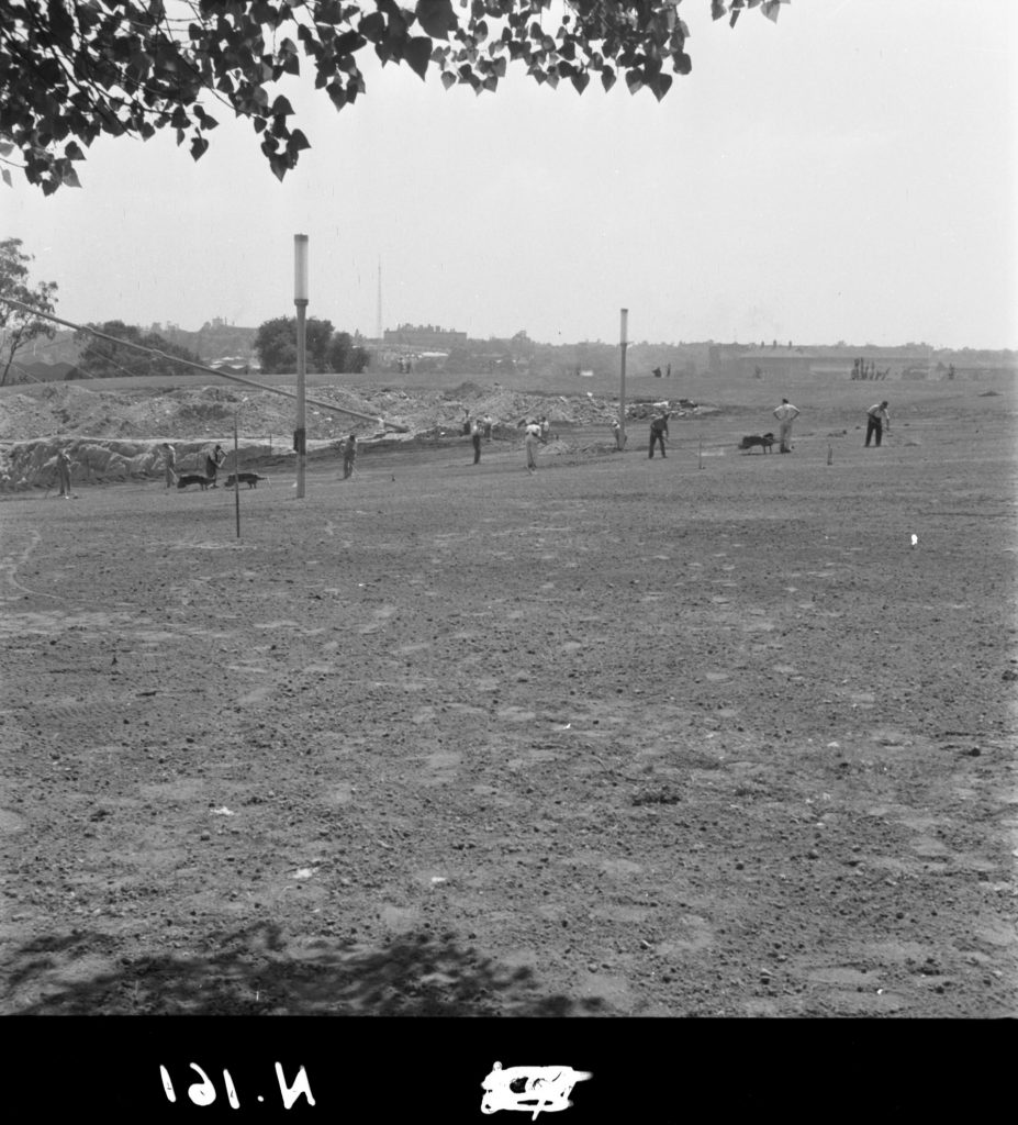 N161 Image showing handraking for lawns during construction of the Sidney Myer Music Bowl