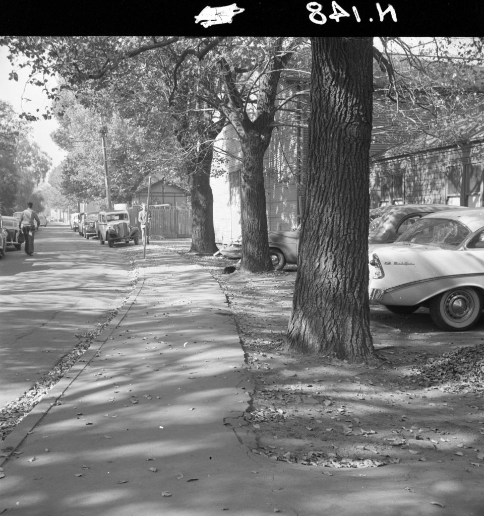 N148 Image of Melbourne University grounds, showing Tin Alley prior to constructions