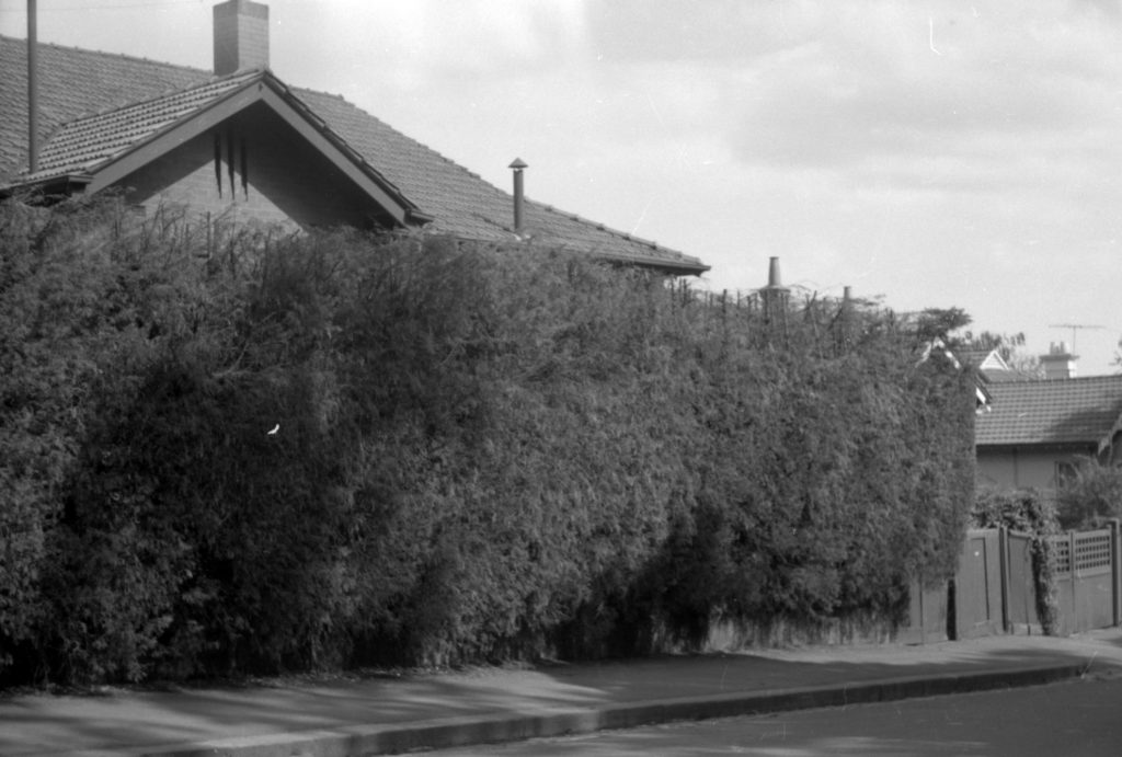 N600 Image showing an overhanging hedge on Anderson-Clowes Street, South Yarra