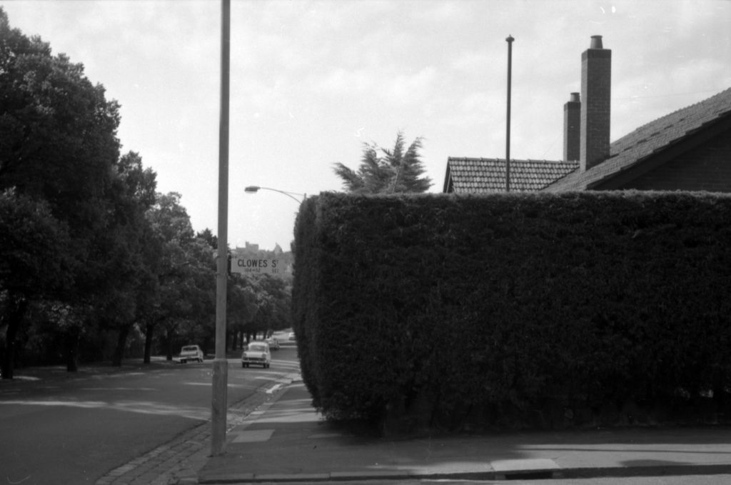 N602 Image showing an overhanging hedge on Anderson-Clowes Street, South Yarra