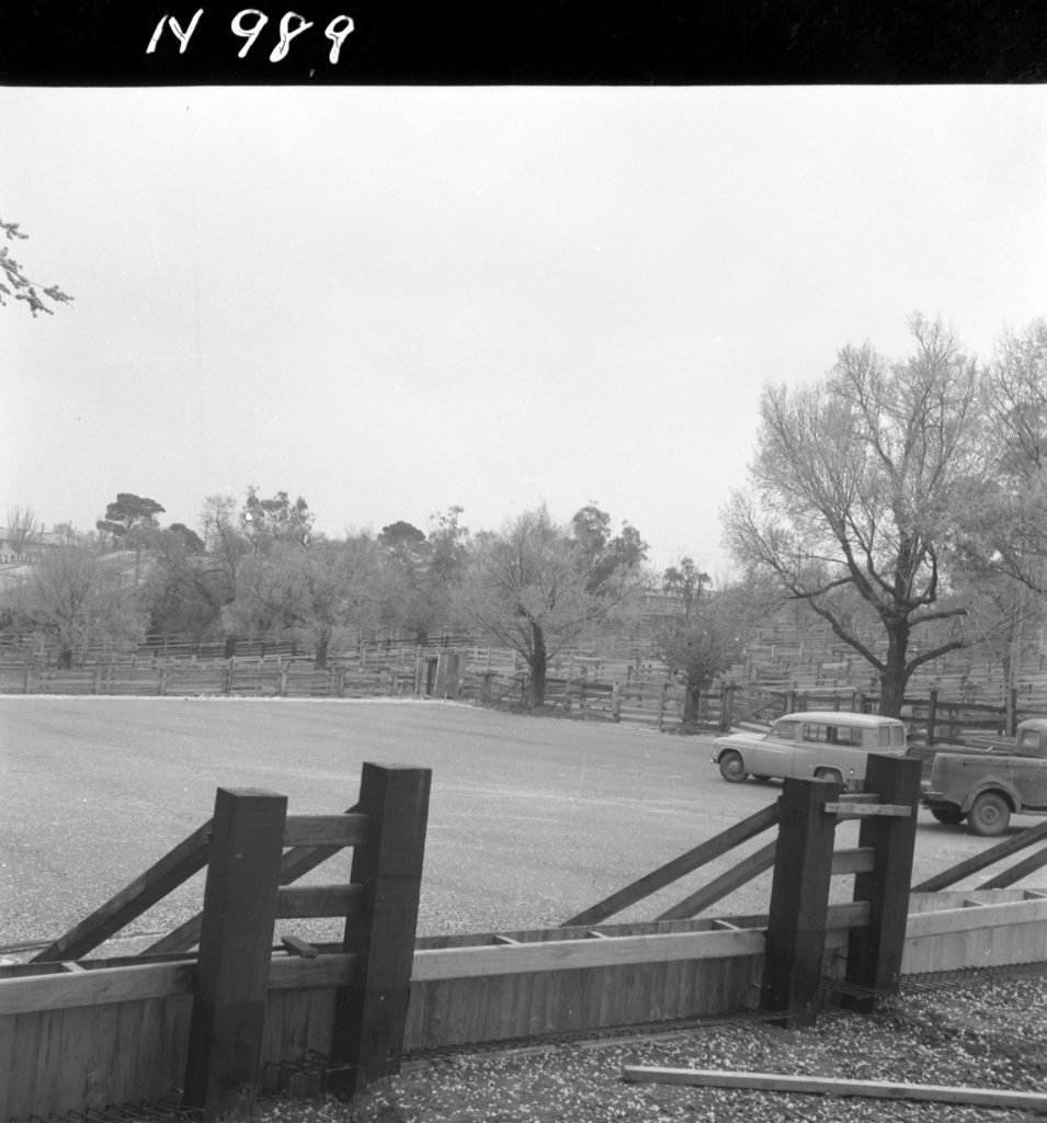 N989 Image showing the Epsom Road transport area under construction (with N990)