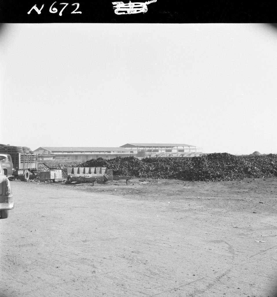 N672 Image showing a stockpile of woodblocks at the Dynon Road woodblock depot (with N673)