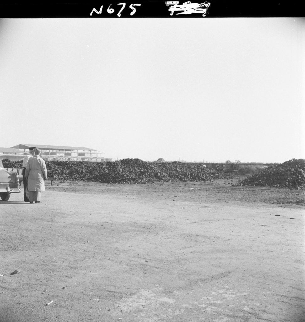 N675 Image showing a stockpile of woodblocks at the Dynon Road woodblock depot