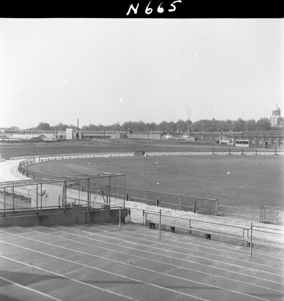 N665 Image showing new terracing at North Melbourne Recreational Reserve