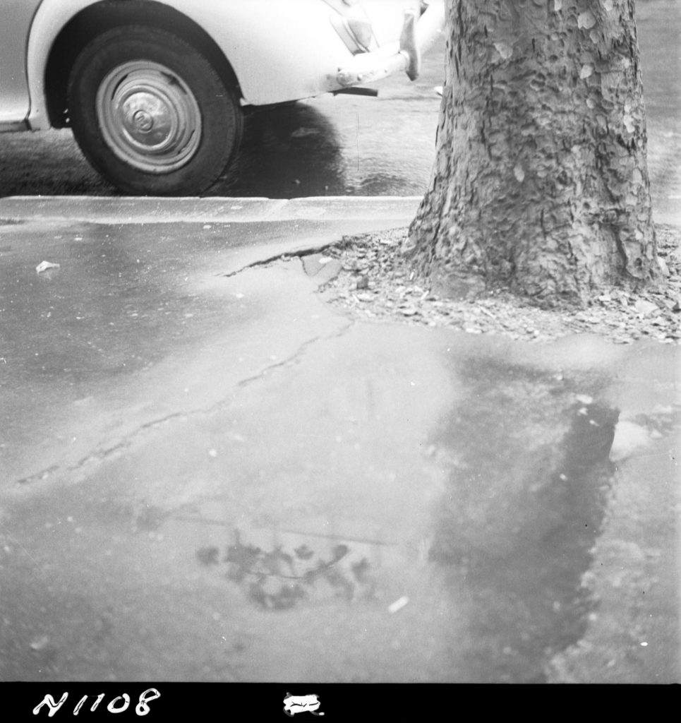 N1108 Image showing damage to foothpaths by tree roots