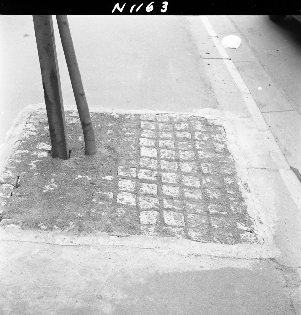 N1163 Image showing the base of a tree outside the new Colonial Mutual Life building