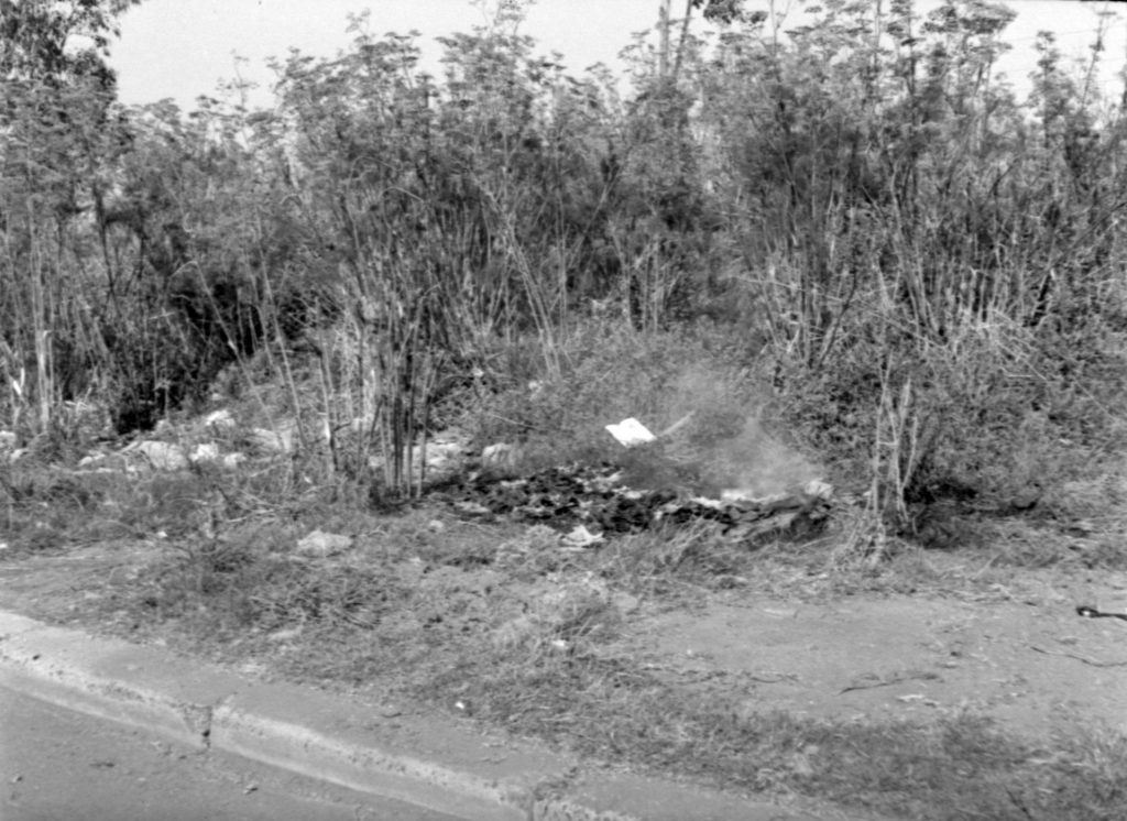 N1033 Image showing rubbish on the east nature strip of Bent Street, near Corporation Lane