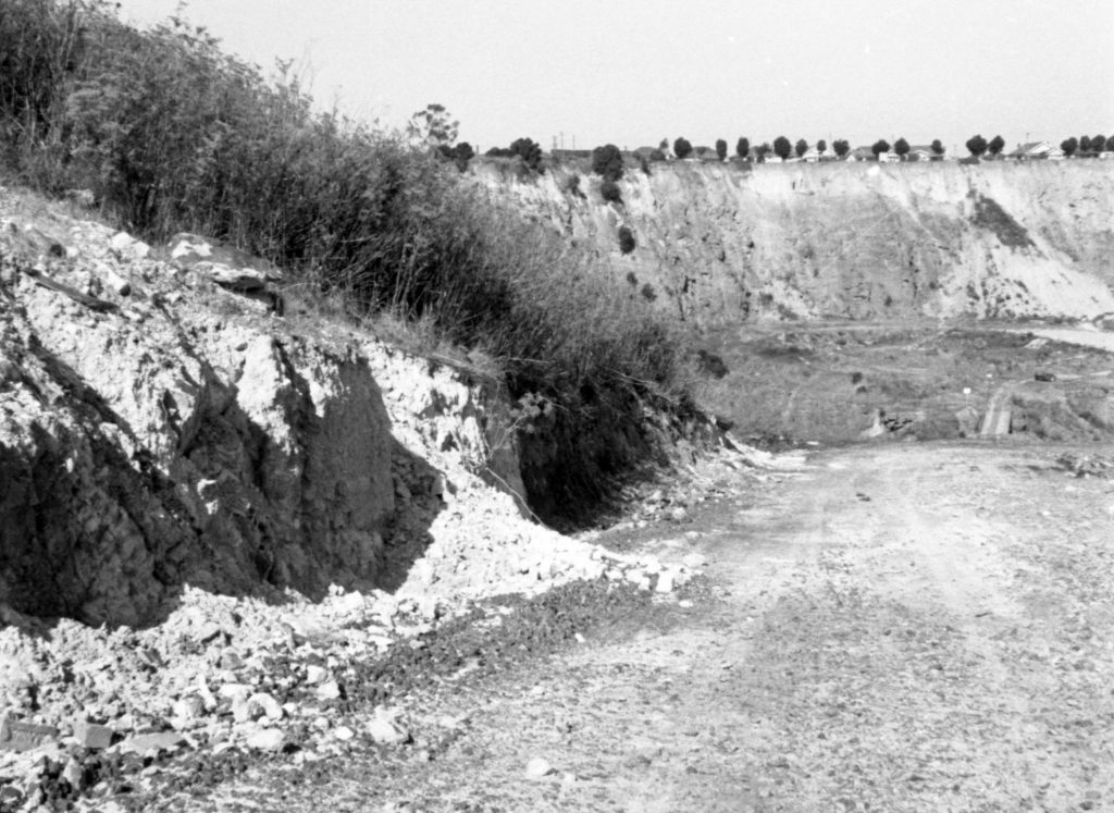 N1010 Image of Melbourne City Council tip, showing scourings from a cliff following rain