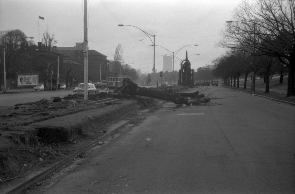 N1086 Image showing work on a plantation on St Kilda Road