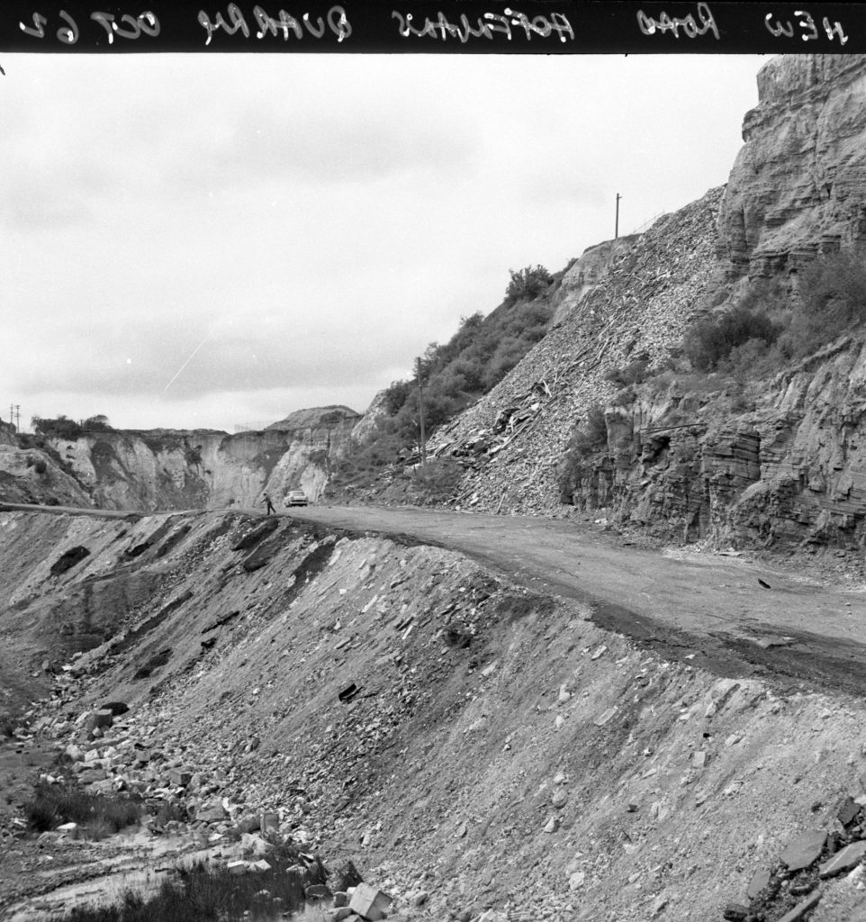 N507 Image showing the new access road into Hoffman’s Quarry (with N506)