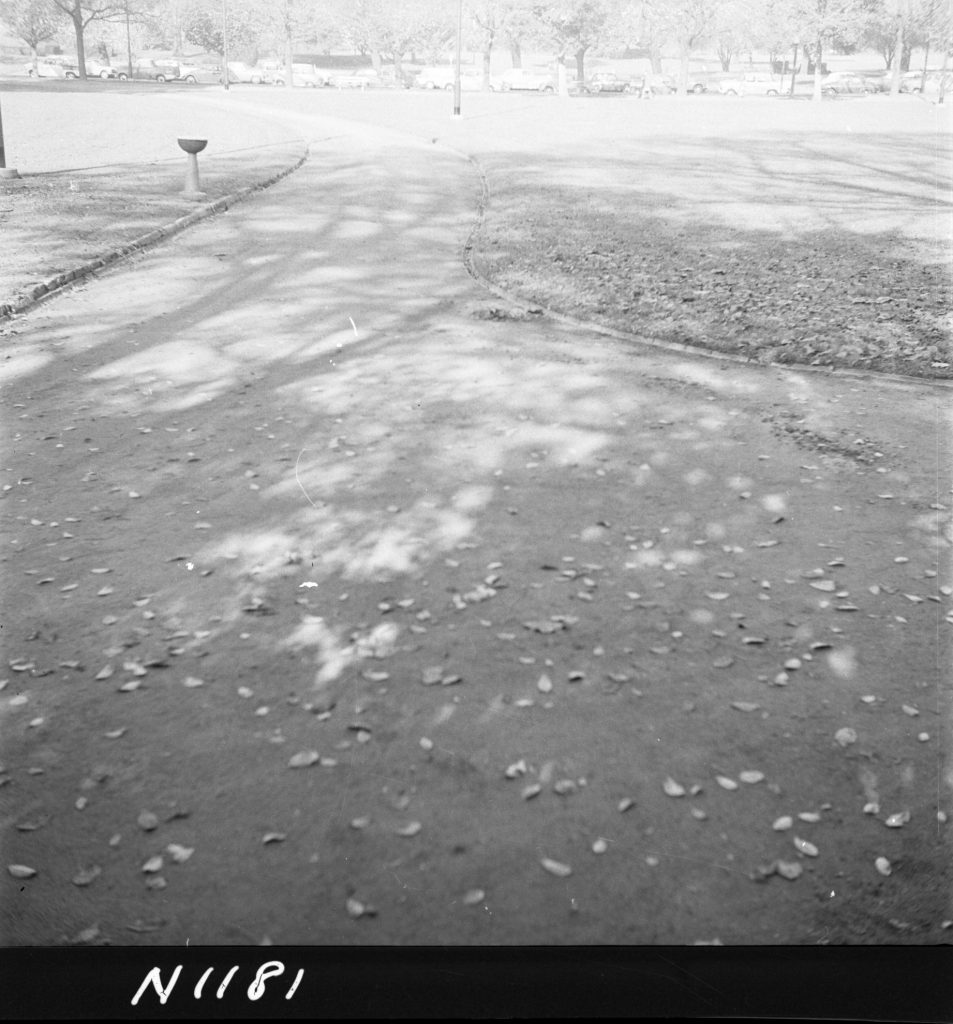 N1181 Image of gravel paths in Alexandra Gardens