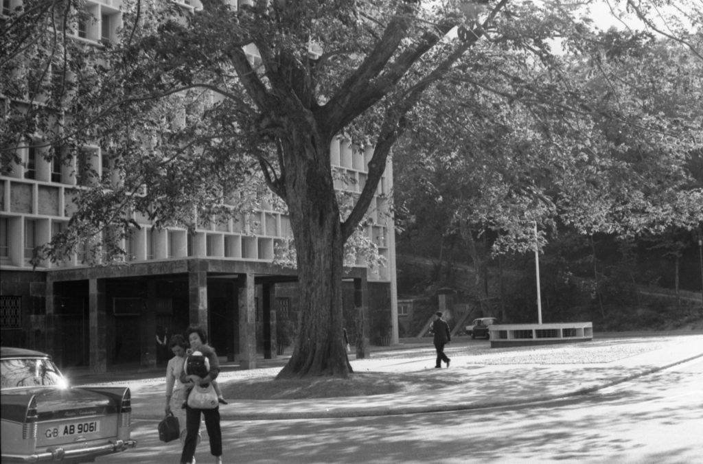 35A-41a Image of a raised area and tree outside a building in Hong Kong