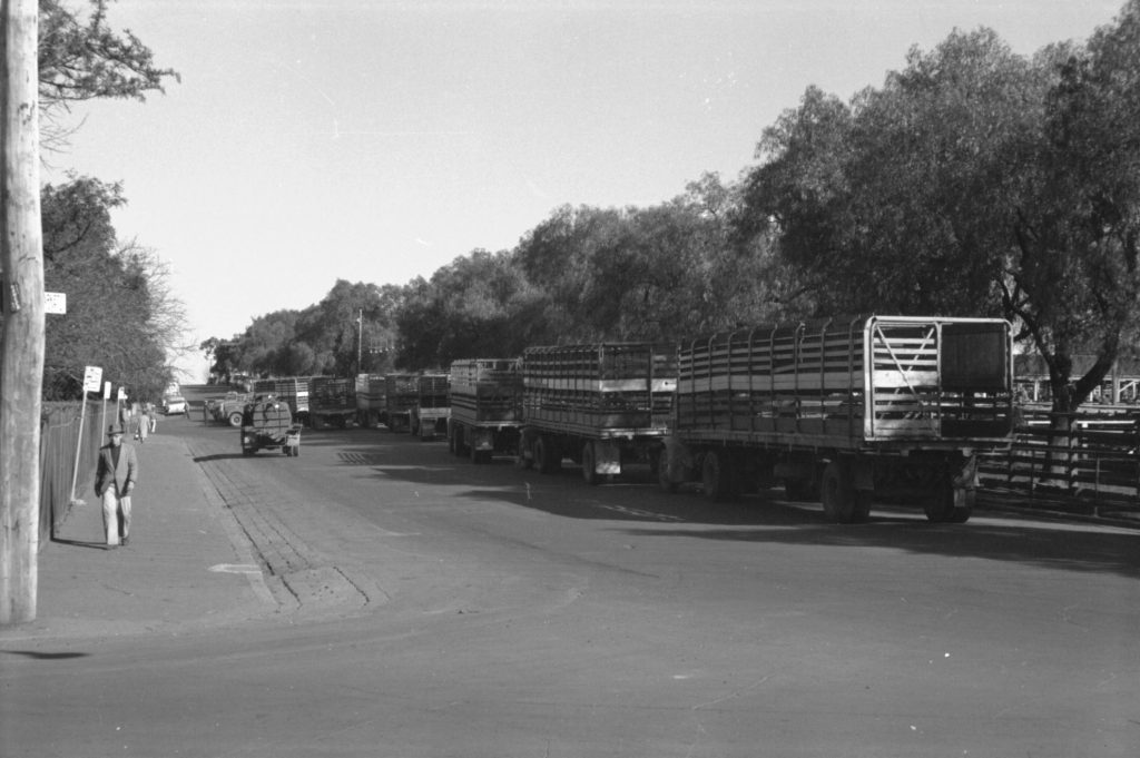 35A-65a Image showing cattle trucks near the corner of Bellair Street and Market Street